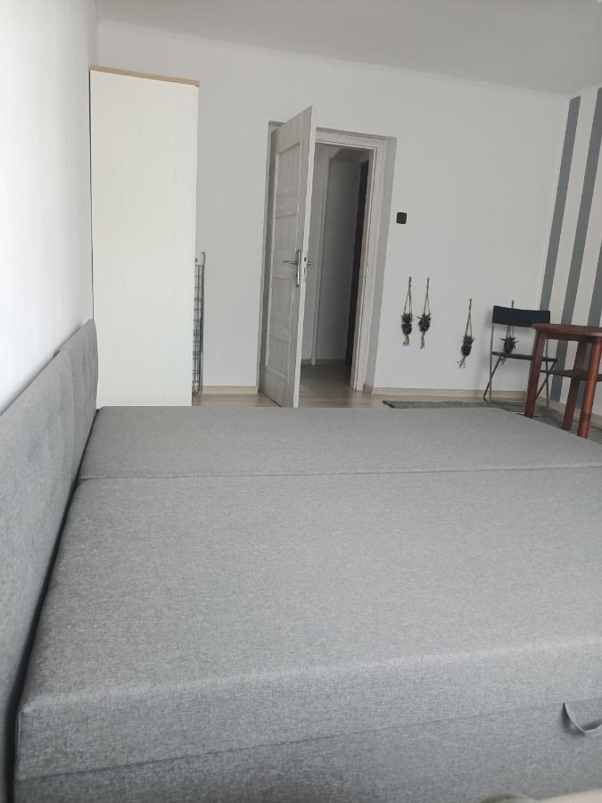 Apartment Niemodlinska 11 M 2 *